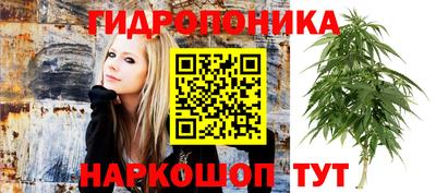 сатива Гусь-Хрустальный
