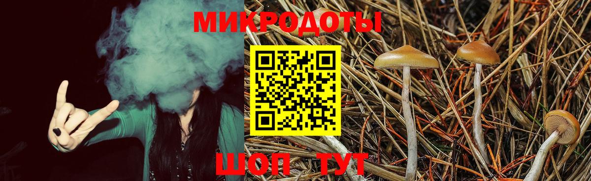 Галлюциногенные грибы ЛСД Вольск