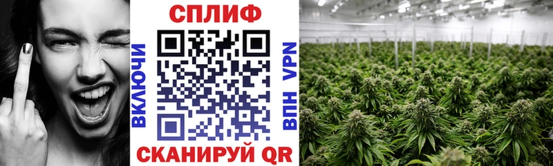 Марихуана Amnesia  цена   Вольск 