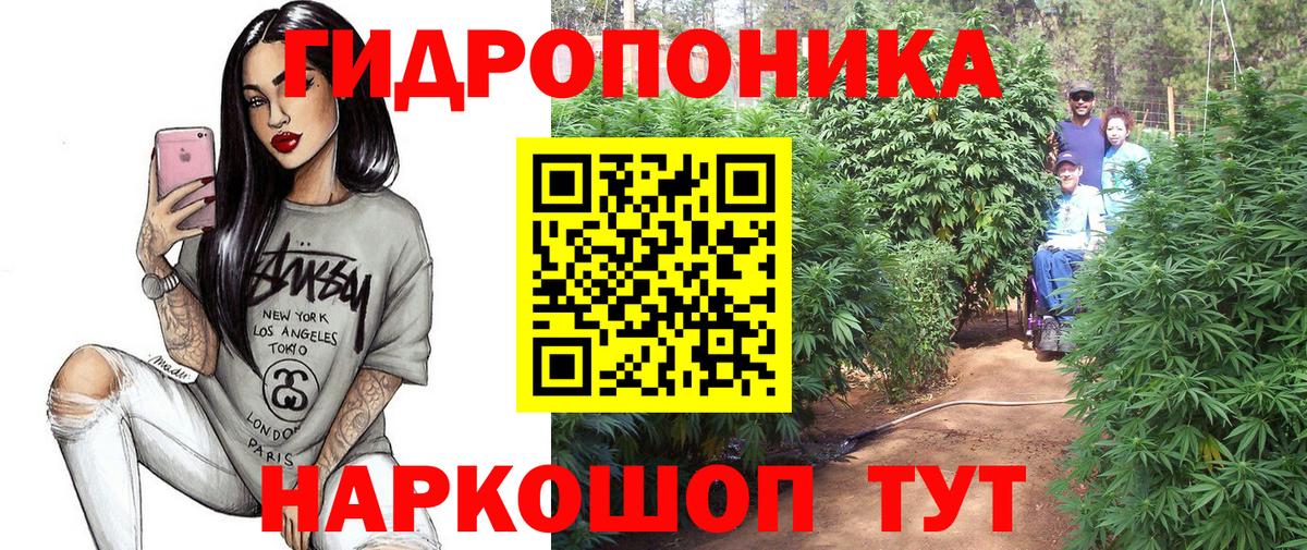 Шишки марихуана индика  Марихуана конопля  Бошки Шишки SATIVA & INDICA  Марихуана White Widow  Вход с VPN  Вольск 